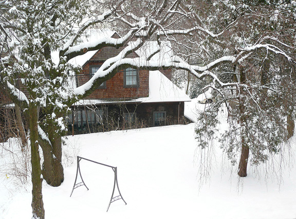 Backyard Feb Snow