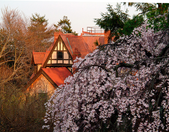 Schultz Estate House with Blossoms