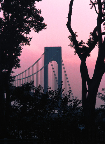 Bridge Tree