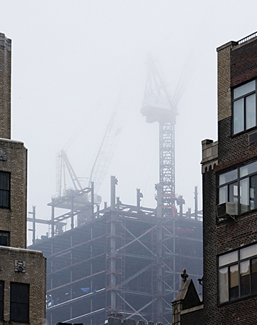 Misty Morning Cranes