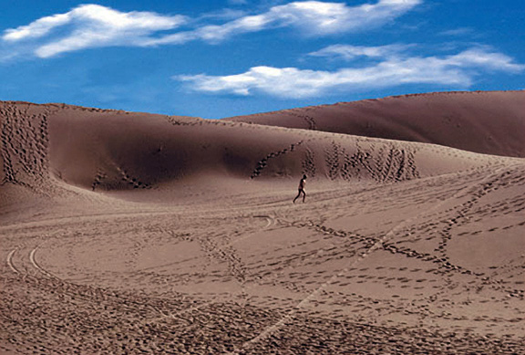 Canary Island Sand Dune