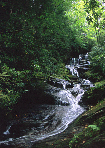 North Carolina Falls