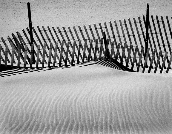 Sandy Fence