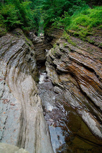 Watkins Glen 2