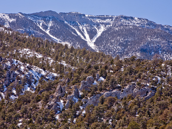 Mount Charleston 5381