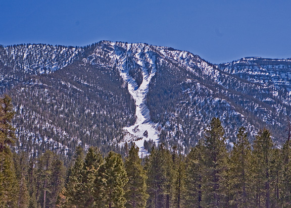 Mount Charleston 5385