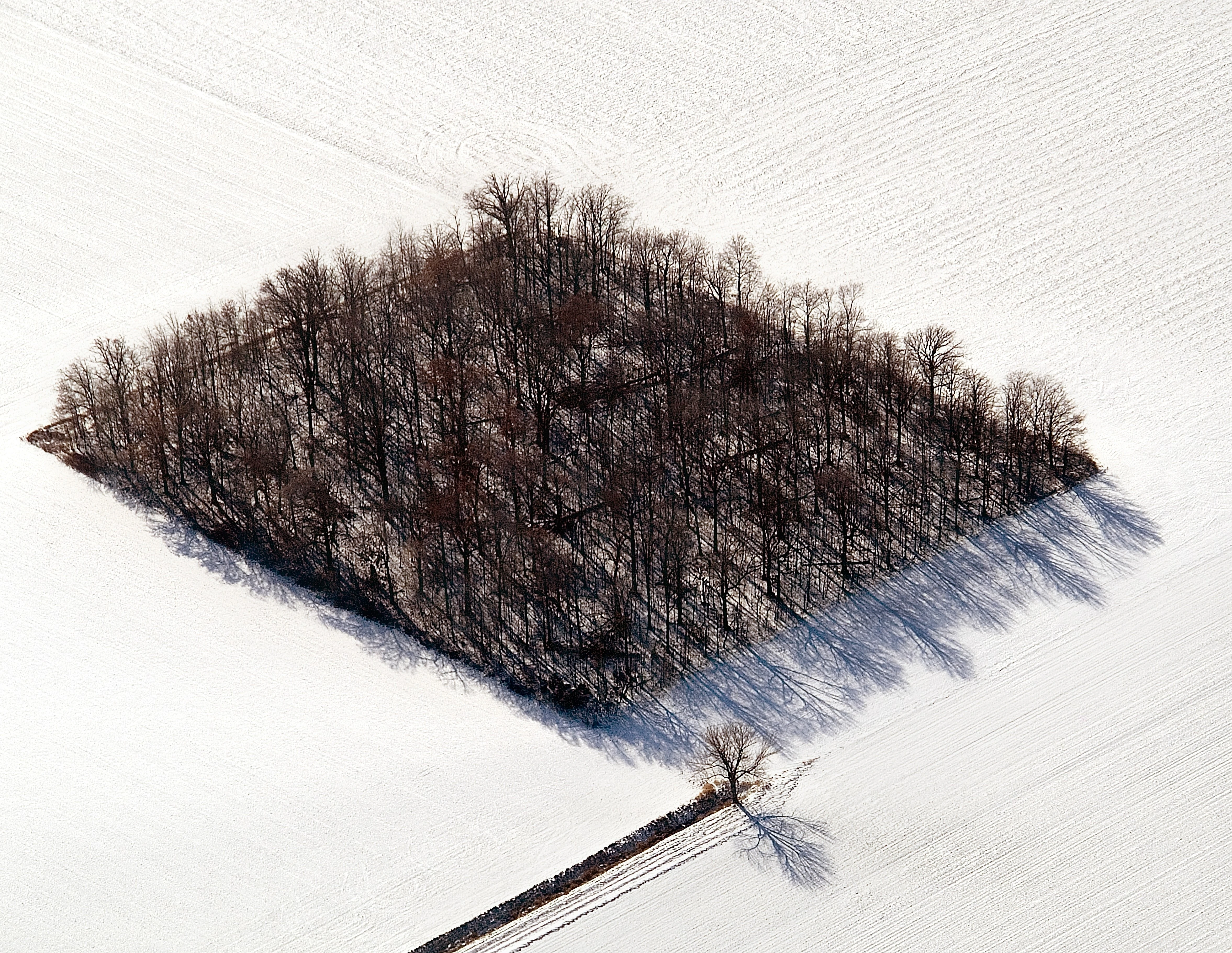 Aerial view of a tree patch in a snow covered field, northwestern Ohio