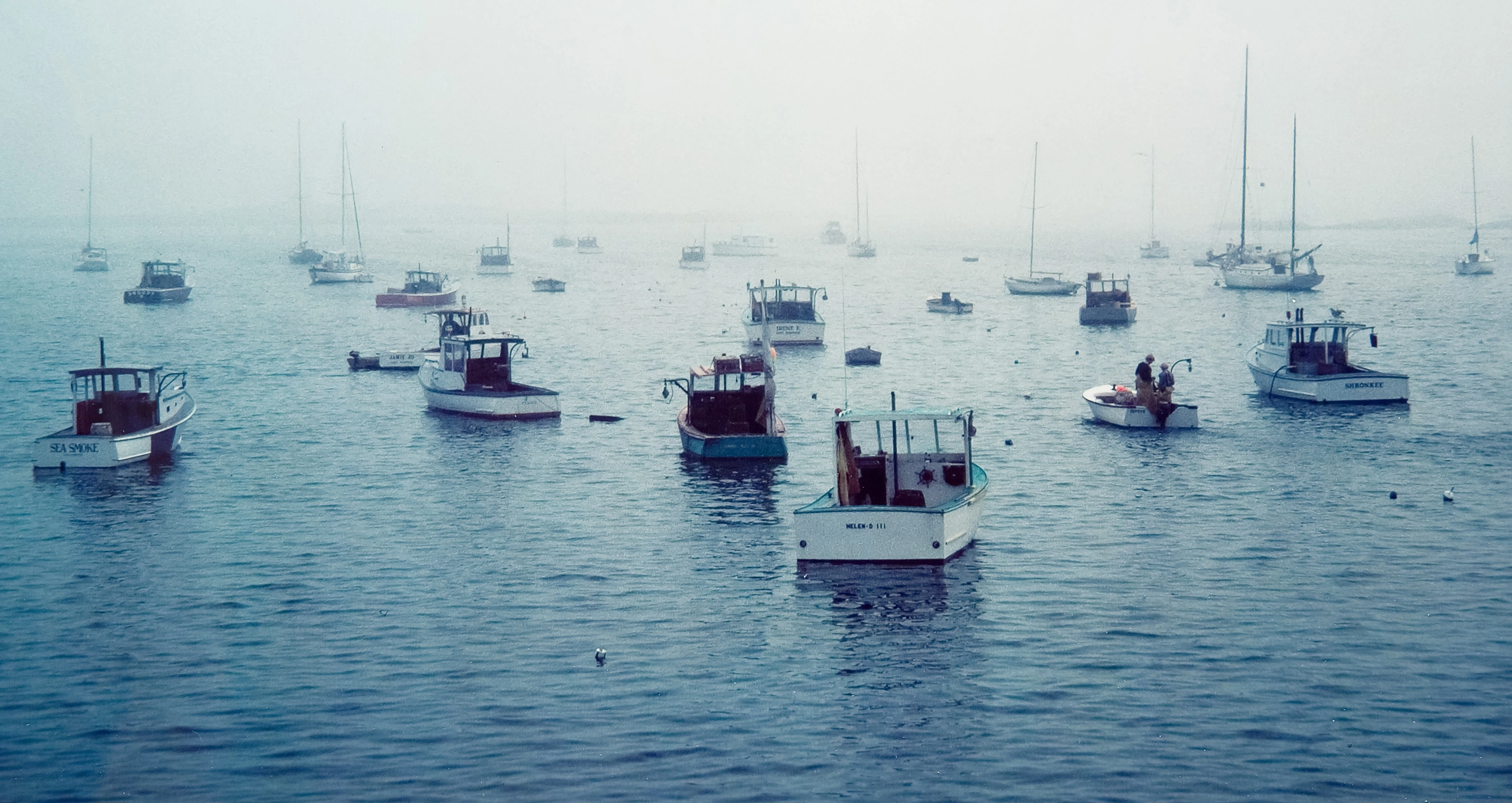 Boats in the Bay and fog, Camden, Maine