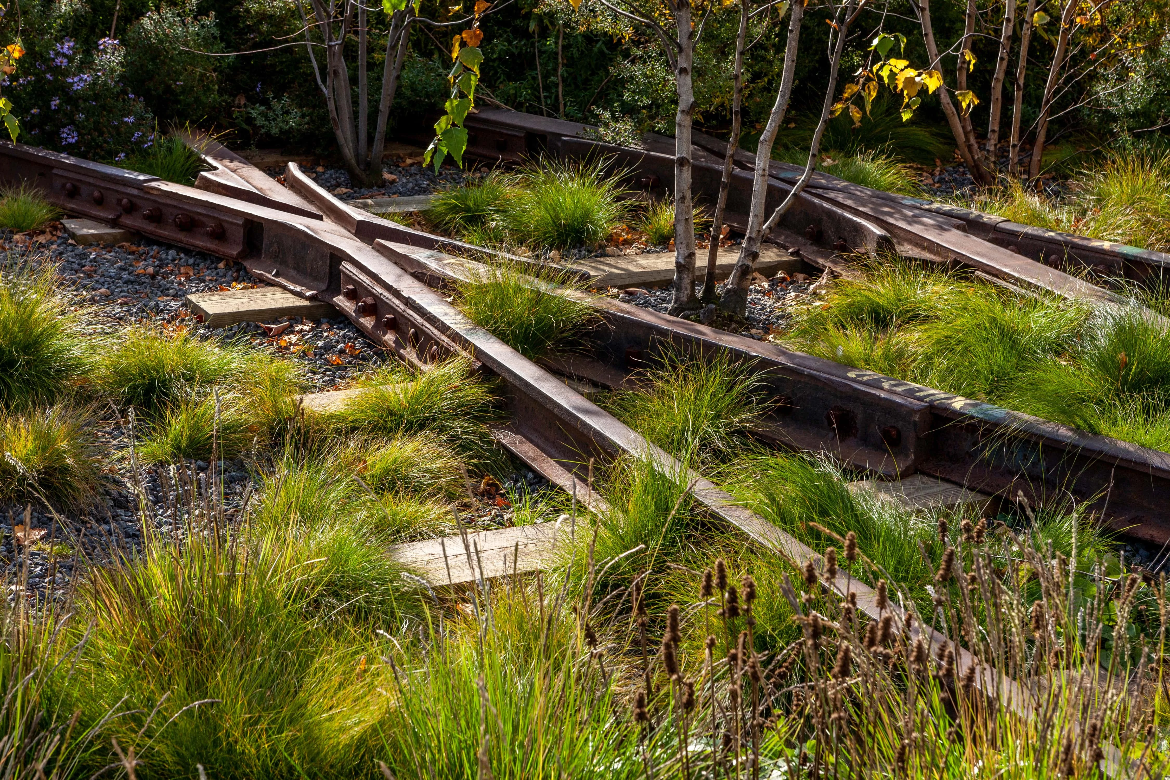 Remnants of railroad switch track with overgrown grass, Highline Park, NYC