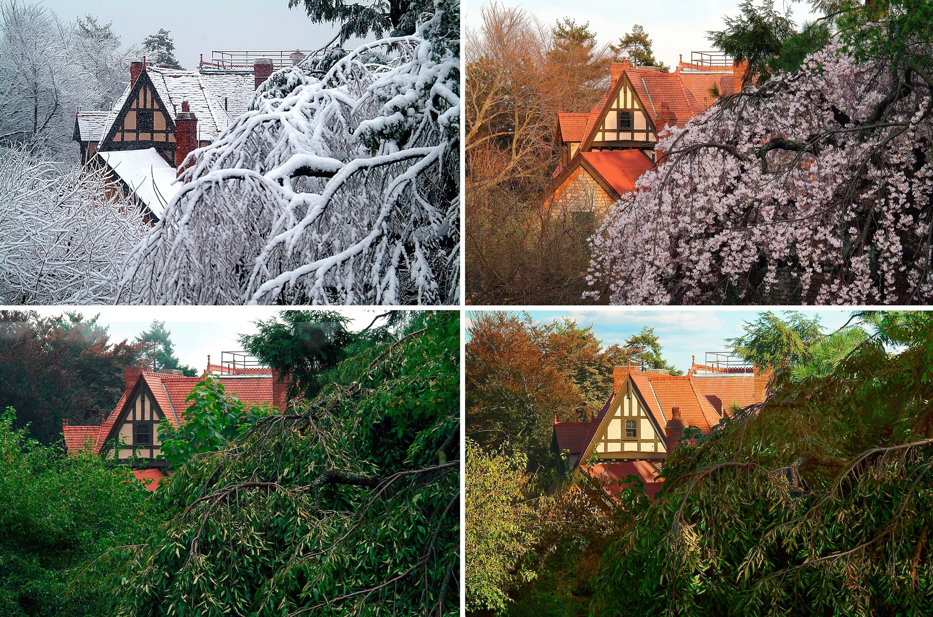 OUT THE WINDOW: Four Seasons Schulz Estate Mansion Montclair NJ