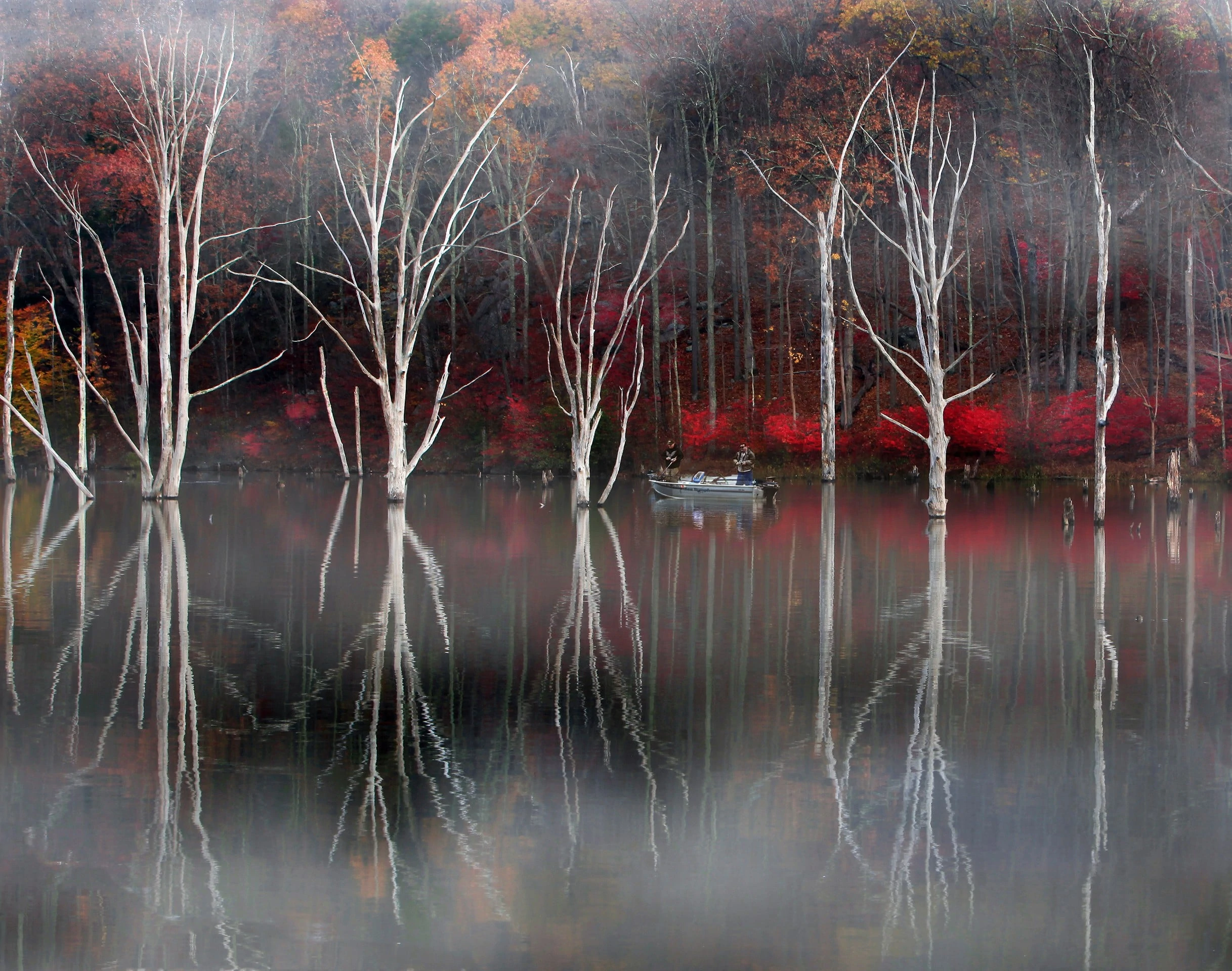 Fishermen in boat on misty Wanaque Reservoir with fall foliage and reflections of dead birch trees